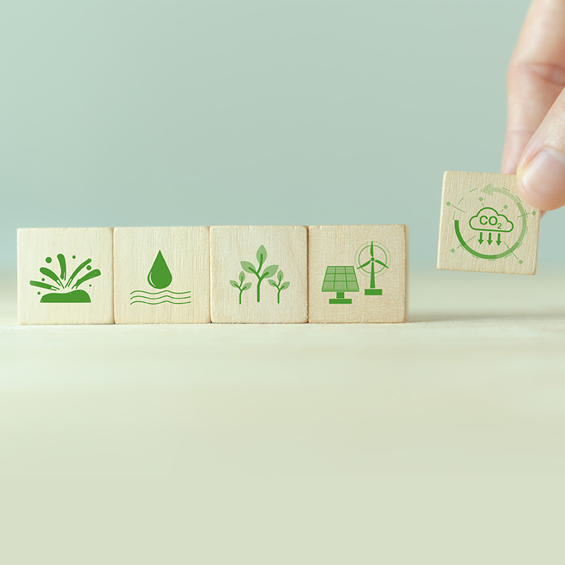 Vision Mission Statement